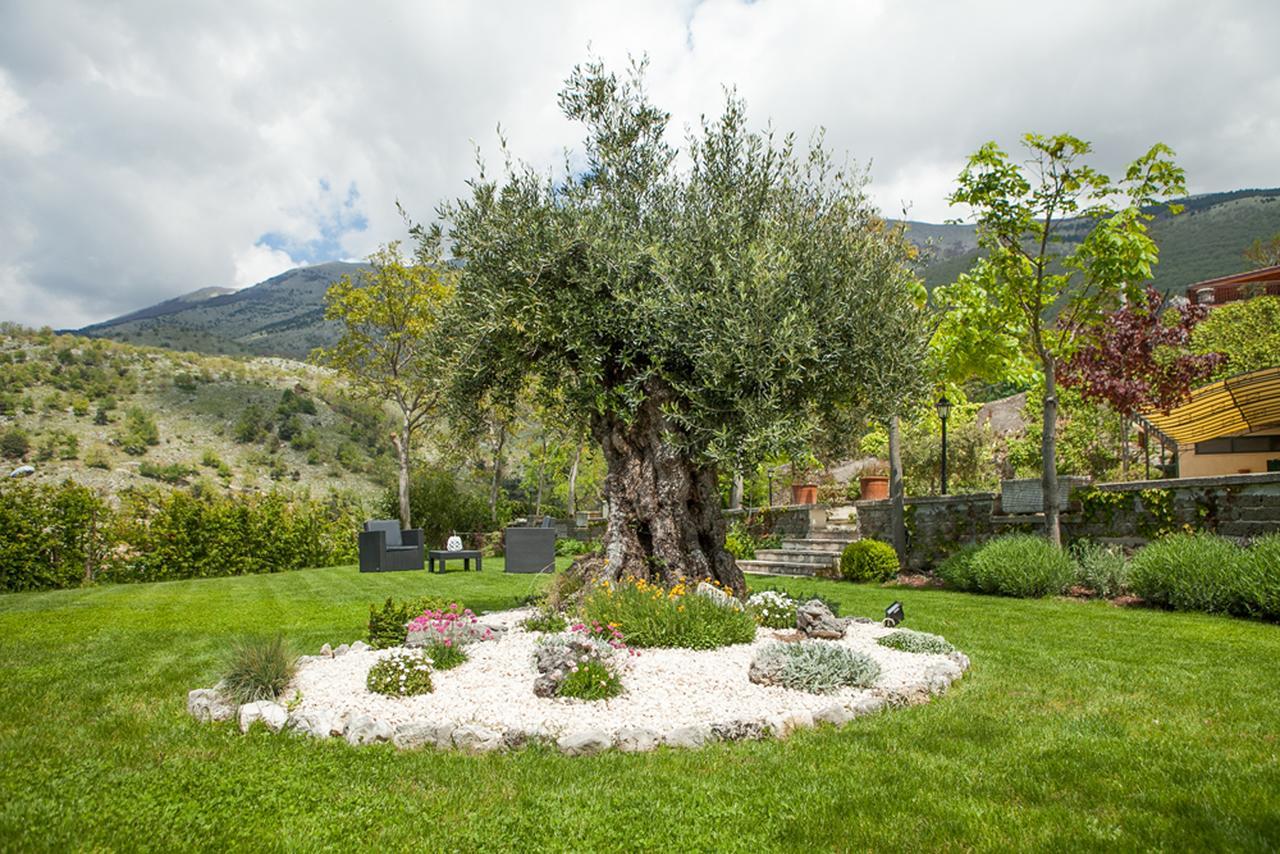 B&B Al Colle Pescosolido Zewnętrze zdjęcie